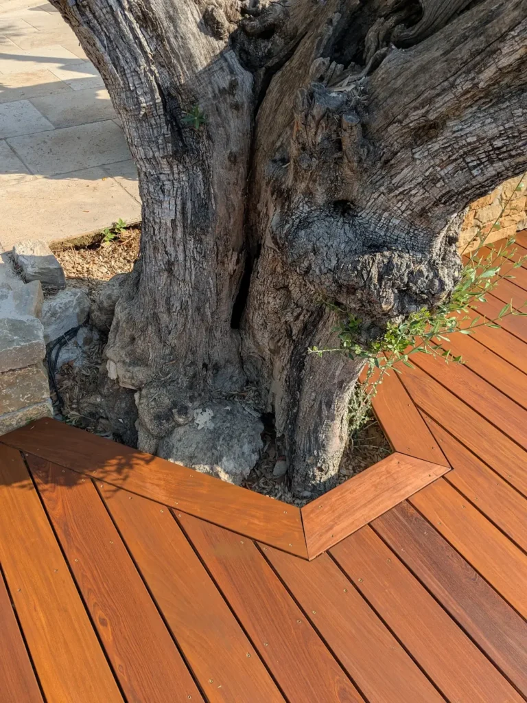 Terrasse bois moderne avec finition soignée