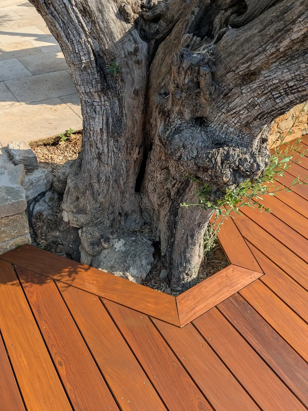 Terrasse bois moderne avec finition soignée